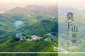翠绿仙境莫干山|江南第一山—上海周边两日团建场地